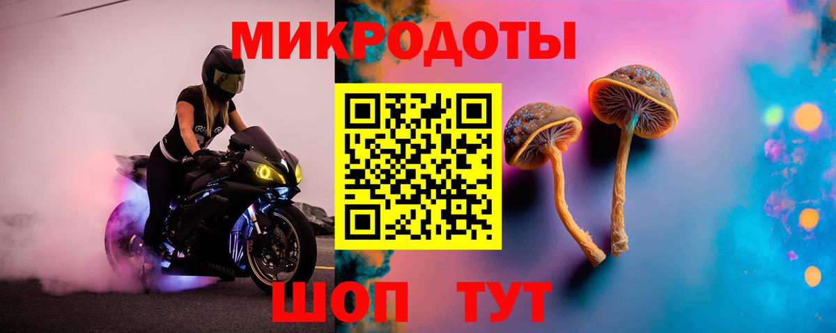 Галлюциногенные грибы мицелий  Вход с VPN  Псилоцибиновые грибы Cubensis  Видное 
