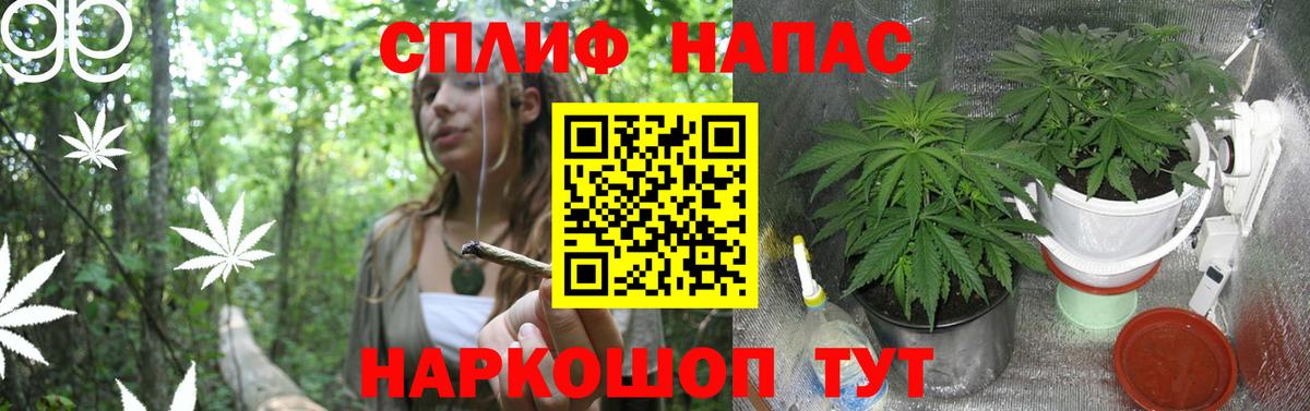 Бошки марихуана MAZAR  Каннабис сатива  Вход с VPN  Канабис планчик  Видное 